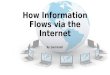 How Information Flows via the Internet