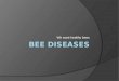 Bee Diseases
