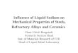 Influence of Liquid Sodium on Mechanical Properties of Steels, Refractory Alloys and Ceramics