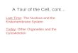 A Tour of the Cell, cont…