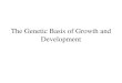 The Genetic Basis of Growth and Development