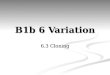 B1b 6 Variation