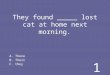 They found _____ lost cat at home next morning