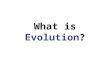 What is  Evolution ?