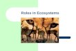 Roles in Ecosystems