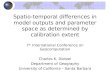 Spatio-temporal differences in model outputs and parameter space as determined by calibration extent