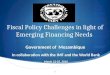 Fiscal Policy Challenges in light of Emerging Financing Needs