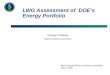 LWG Assessment of  DOE’s Energy Portfolio