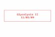 Glycolysis II 11/05/09