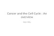 Cancer and the Cell Cycle :  An overview