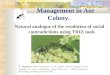 Management in Ant Colony