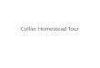 Collier Homestead Tour