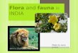Flora  and  fauna in  INDIA