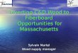 Diverting C&D Wood to Fiberboard  Opportunities for Massachusetts
