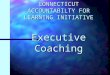 CONNECTICUT ACCOUNTABILTY FOR LEARNING INITIATIVE Executive Coaching