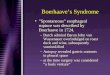Boerhaave’s Syndrome