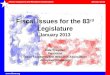 Fiscal Issues for the 83 rd  Legislature January 2013