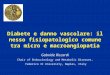 Gabriele Riccardi Chair of Endocrinology and Metabolic Diseases,  Federico II University, Naples, Italy