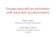 Energy  expenditure estimation with wearable accelerometers