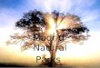 Madrid  Natural Parks