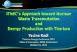 iThEC’s Approach  toward  Nuclear Waste Transmutation and Energy Production with Thorium