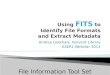 Using  FITS  to Identify File Formats and Extract Metadata