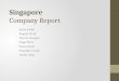 Singapore Company Report