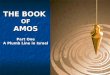 THE BOOK  OF AMOS Part One A Plumb Line in Israel