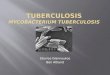 Tuberculosis Mycobacterium tuberculosis