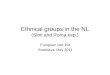 Ethnical groups in the NL (Sinti and Roma esp.)