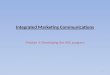 Integrated Marketing Communications Module 4: Developing the IMC program