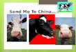 Send Me To China…