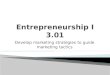 Entrepreneurship I 3.01