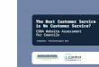 The Best Customer Service is No Customer Service? CSBA  Website Assessment  for Councils