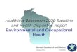Healthiest Wisconsin 2020 Baseline and Health Disparities Report Environmental and Occupational Health