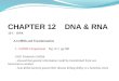 CHAPTER 12    DNA & RNA