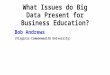 What Issues do Big Data Present for Business Education ?
