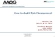 How to Audit Risk Management