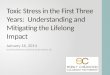 Toxic Stress in the First Three Years:  Understanding and Mitigating the Lifelong Impact
