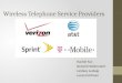 Wireless Telephone Service Providers