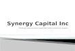 Synergy Capital Inc