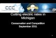 Cutting electric rates in Michigan