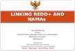 LINKING REDD+ AND NAMAs