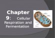 Chapter  9 : Cellular  Respiration and Fermentation