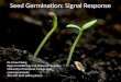 Seed Germination: Signal Response