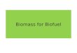 Biomass for Biofuel