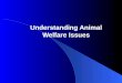 Understanding Animal Welfare Issues