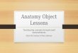Anatomy Object Lessons