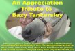 A n Appreciation Tribute to  Bazy Tankersley