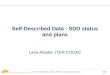 Self-Described Data - SDD status and plans